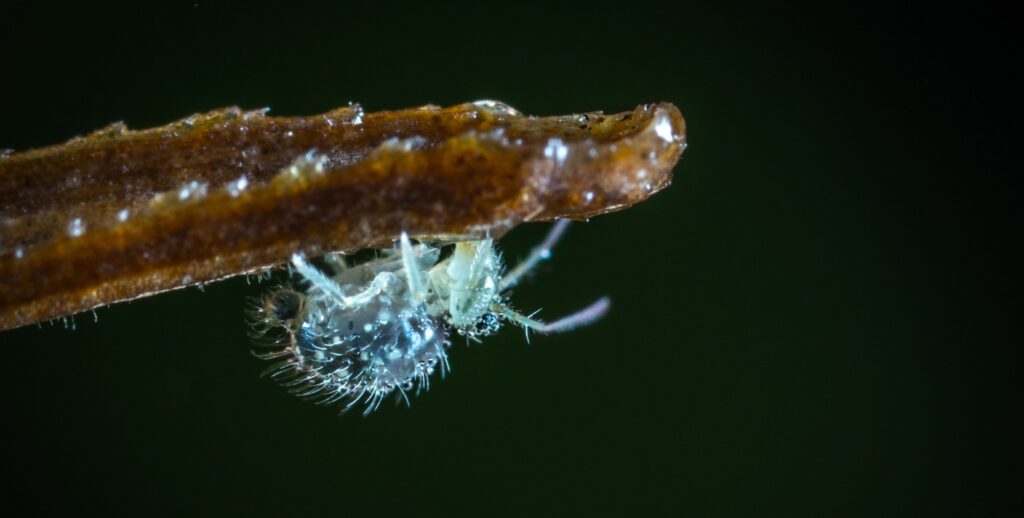 Sunset in the mountains